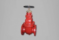 Marine valves